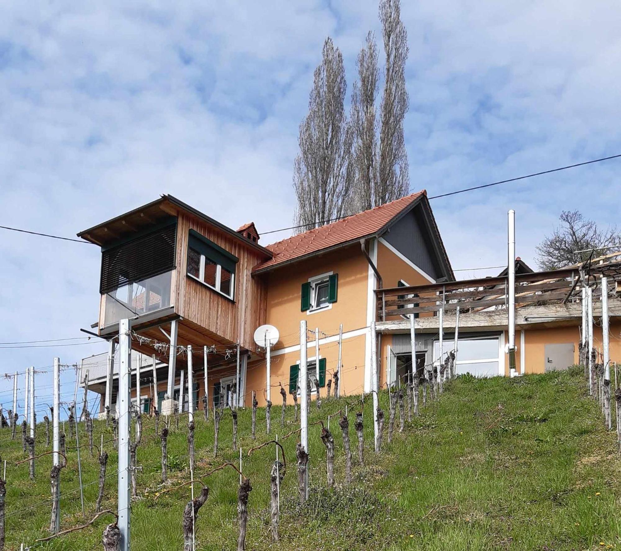 Ferienhaus Urschitz Eichberg Экстерьер фото